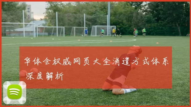 华体会权威网页大全消遣方式体系 深度解析