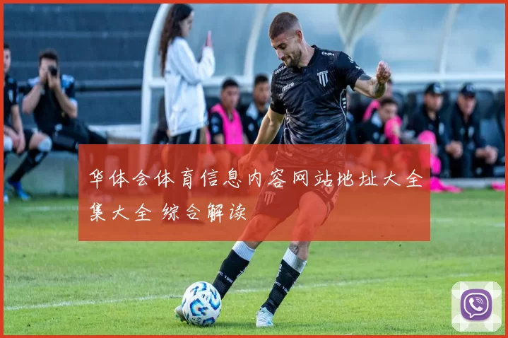 华体会体育信息内容网站地址大全集大全 综合解读