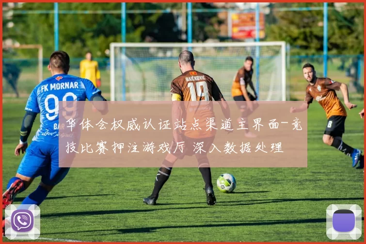 华体会权威认证站点渠道主界面-竞技比赛押注游戏厅 深入数据处理