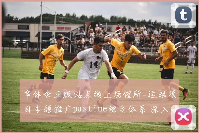 华体会正版站点线上场馆所_运动项目专题推广pastime综合体系 深入分析
